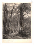 In the Forest or Tall Timber (En Forêt ou Haute Futaie), ca. 1851 by Karl Bodmer