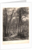 In the Forest or Tall Timber (En Forêt ou Haute Futaie), ca. 1851 by Karl Bodmer