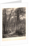 In the Forest or Tall Timber (En Forêt ou Haute Futaie), ca. 1851 by Karl Bodmer