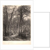 In the Forest or Tall Timber (En Forêt ou Haute Futaie), ca. 1851 by Karl Bodmer