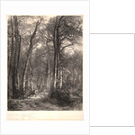 In the Forest or Tall Timber (En Forêt ou Haute Futaie), ca. 1851 by Karl Bodmer