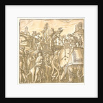 The Elephants, 1598 by Andrea Andreani