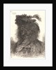 Head of Man Wearing a Fur Cap with a Plume, ca. 1648-1650 by Giovanni Benedetto Castiglione