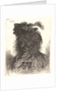 Head of Man Wearing a Fur Cap with a Plume, ca. 1648-1650 by Giovanni Benedetto Castiglione