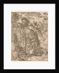 St. Jerome in Penitence, ca. 1500 by Anonymous