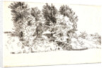 Le Pècheur à l'Epervier, 1891 by Félix Bracquemond
