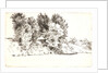 Le Pècheur à l'Epervier, 1891 by Félix Bracquemond
