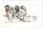 Le Pècheur à l'Epervier, 1891 by Félix Bracquemond