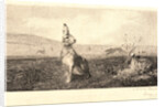 The Hare (Le Lièvre) by Félix Bracquemond