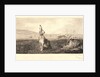 The Hare (Le Lièvre) by Félix Bracquemond