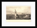 The Hare (Le Lièvre) by Félix Bracquemond
