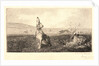 The Hare (Le Lièvre) by Félix Bracquemond