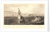 The Hare (Le Lièvre) by Félix Bracquemond