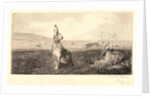 The Hare (Le Lièvre) by Félix Bracquemond