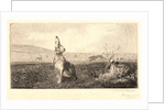 The Hare (Le Lièvre) by Félix Bracquemond