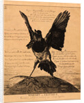 Margot la Critique, ou la Pie by Félix Bracquemond