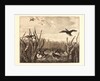Teal (Sarcelles) by Félix Bracquemond