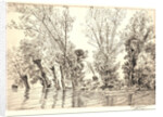 Willows (Les Saules des Mottiaux), 19th century by Félix Bracquemond