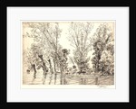 Willows (Les Saules des Mottiaux), 19th century by Félix Bracquemond