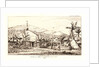 New Caledonia (Nouvelle Caledonie), 1863 by Charles Meryon