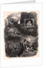Untitled, 19th century by Célestin François Nanteuil