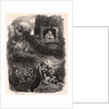 Untitled, 19th century by Célestin François Nanteuil