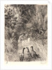 Surprised Ducks (Canards Surpris). by Félix Bracquemond