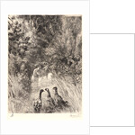 Surprised Ducks (Canards Surpris). by Félix Bracquemond