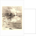 The Swallows (Les Hirondelles). by Félix Bracquemond