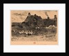 Ducks and Cottage, 19th century by Félix Hilaire Buhot