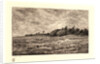 Le Pré des Graves à Villerville (Calvados), 1875 by Charles François Daubigny
