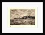 Le Pré des Graves à Villerville (Calvados), 1875 by Charles François Daubigny