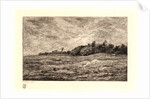 Le Pré des Graves à Villerville (Calvados), 1875 by Charles François Daubigny