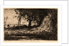 Near Menton (Aux Environs de Menton, Alpes Maritimes), 1879 by Adolphe Appian