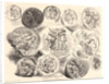 Twelve Antique Medals (Douze Médailles Antiques), 1825 by Eugène Delacroix