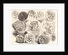 Twelve Antique Medals (Douze Médailles Antiques), 1825 by Eugène Delacroix