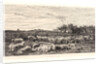 The Sheepfold, Morning (La Grand Parc à Moutons, le Matin), ca. 1860 by Charles François Daubigny