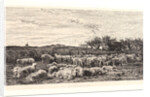 The Sheepfold, Morning (La Grand Parc à Moutons, le Matin), ca. 1860 by Charles François Daubigny