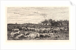 The Sheepfold, Morning (La Grand Parc à Moutons, le Matin), ca. 1860 by Charles François Daubigny