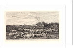 The Sheepfold, Morning (La Grand Parc à Moutons, le Matin), ca. 1860 by Charles François Daubigny