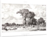 Pastureland in the Limousin (Pacages du Limousin), 1835 by Jules Dupré