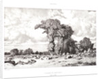 Pastureland in the Limousin (Pacages du Limousin), 1835 by Jules Dupré