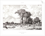 Pastureland in the Limousin (Pacages du Limousin), 1835 by Jules Dupré