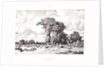 Pastureland in the Limousin (Pacages du Limousin), 1835 by Jules Dupré