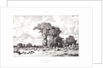 Pastureland in the Limousin (Pacages du Limousin), 1835 by Jules Dupré