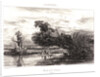 Banks of the Somme (Picardy), 1836 by Jules Dupré
