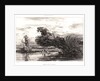 Banks of the Somme (Picardy), 1836 by Jules Dupré
