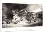Young Tiger Playing with its Mother (Jeune Tigre jouant avec sa Mêre), 1831 by Eugène Delacroix