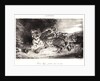 Young Tiger Playing with its Mother (Jeune Tigre jouant avec sa Mêre), 1831 by Eugène Delacroix