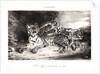 Young Tiger Playing with its Mother (Jeune Tigre jouant avec sa Mêre), 1831 by Eugène Delacroix